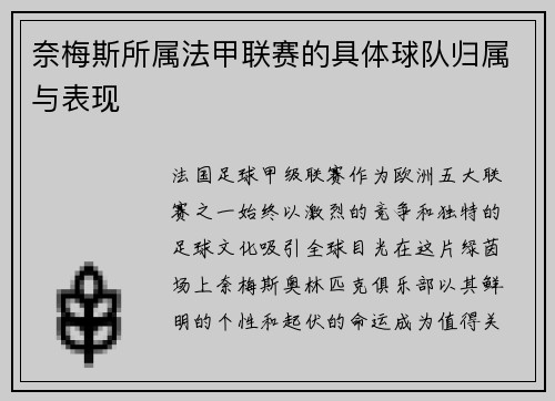 奈梅斯所属法甲联赛的具体球队归属与表现